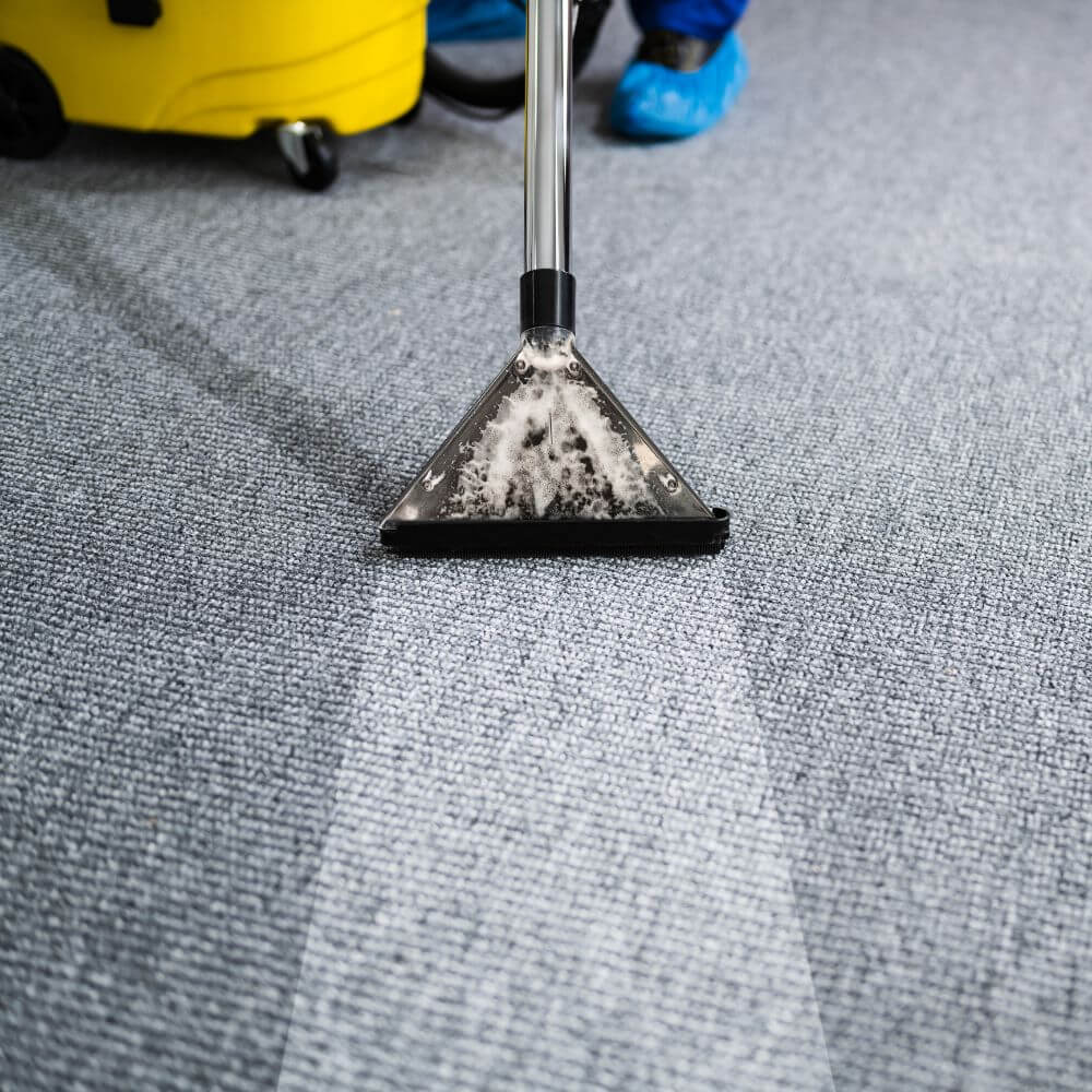 Zelf Tapijt Reinigen - Hoe pak je aan? Tips van Cinco Cleaning