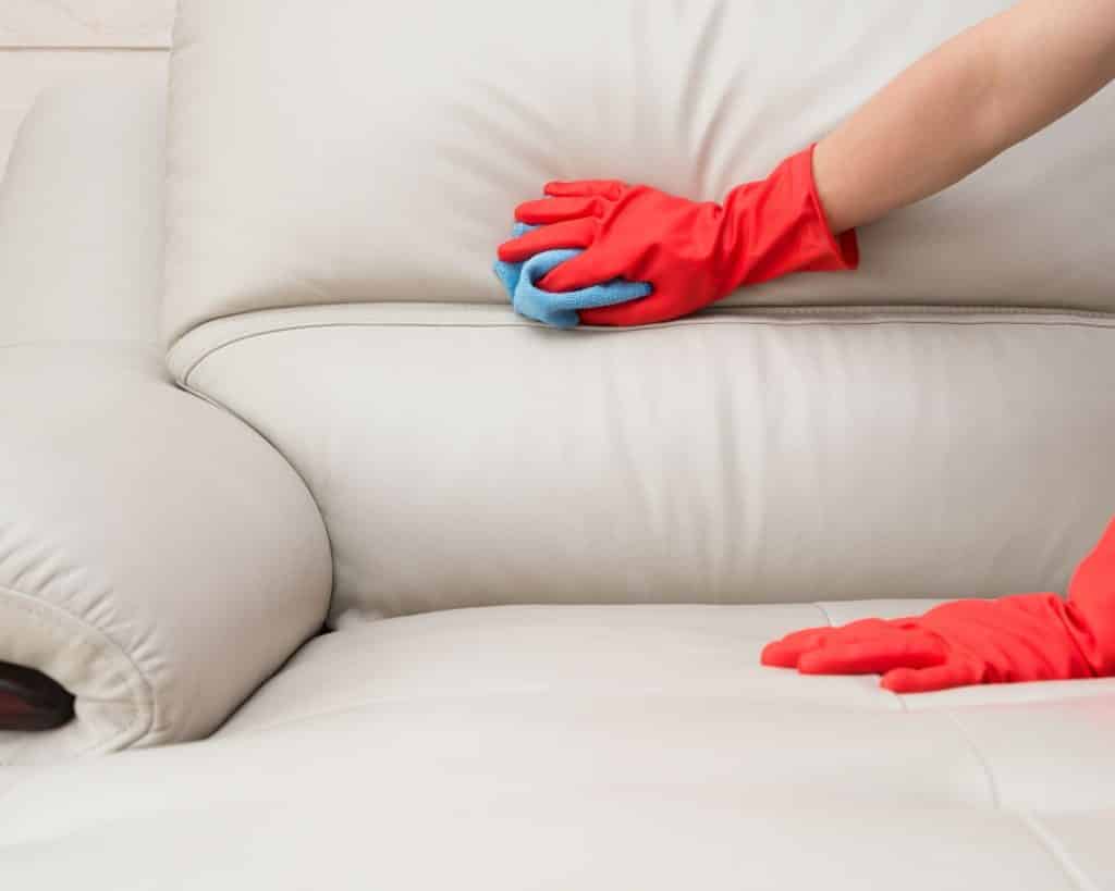 Jachtluipaard Bijdragen Rechtsaf Leren Bank Onderhouden - Leren Bank Reinigen - Cinco Cleaning