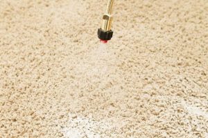 voorbehandeling tapijt reinigen voorbehandeling tapijt reinigen